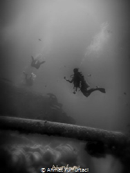 thistlegorm by Ahmet Yumurtacı 
